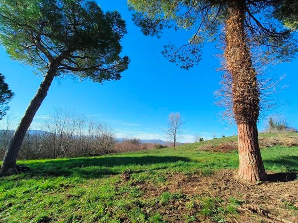 terreno agricolo in vendita a Villalfonsina