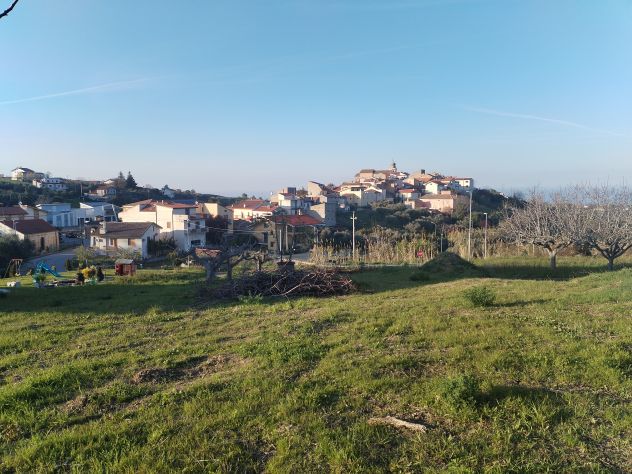 terreno agricolo in vendita a Villalfonsina