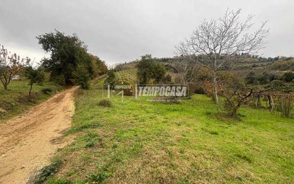 terreno agricolo in vendita a Villamagna