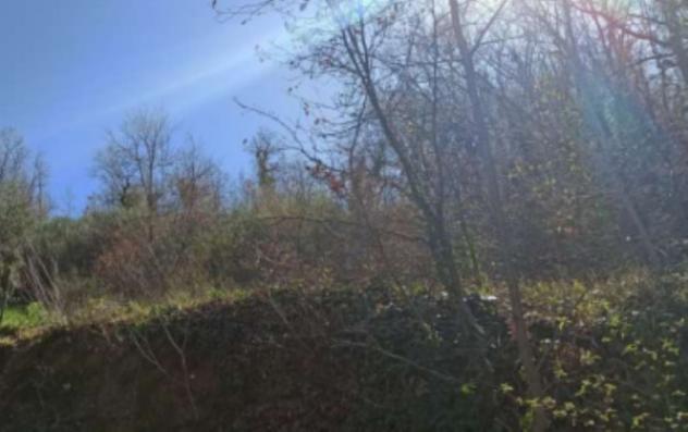 terreno agricolo in vendita a Villamagna