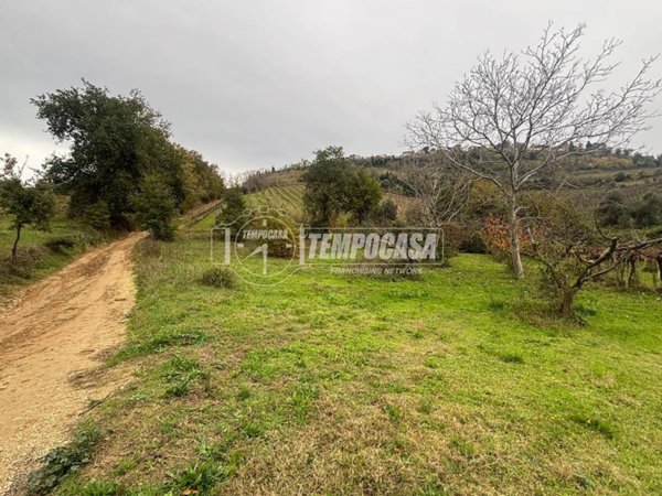 terreno agricolo in vendita a Villamagna