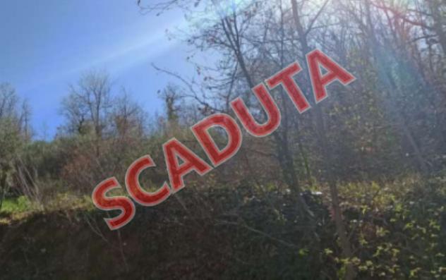 terreno agricolo in vendita a Villamagna