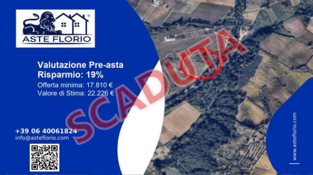 terreno agricolo in vendita a Villamagna