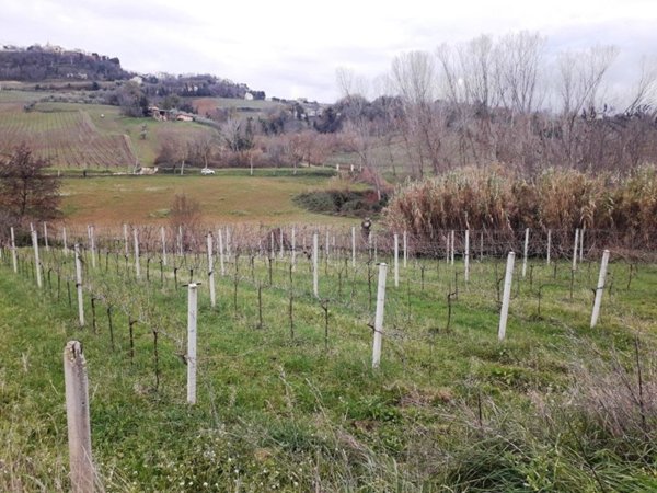 terreno agricolo in vendita a Villamagna