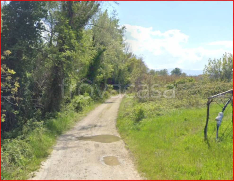 terreno agricolo in vendita a Villamagna