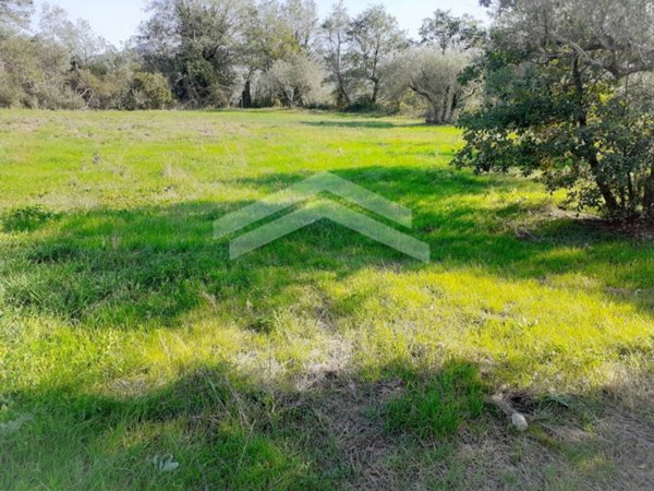 terreno agricolo in vendita ad Acquaviva Collecroce