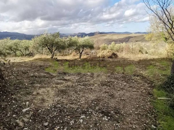 casa indipendente in vendita ad Acquaviva Collecroce