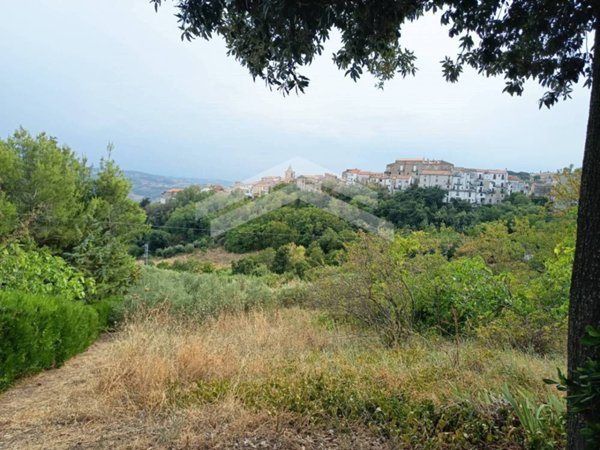 terreno agricolo in vendita ad Acquaviva Collecroce