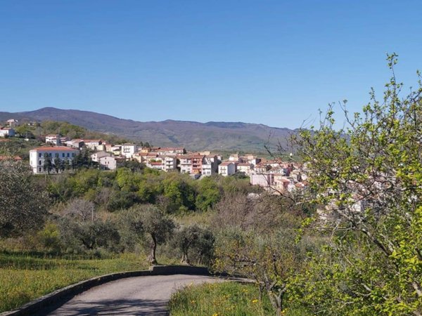 terreno agricolo in vendita ad Acquaviva Collecroce
