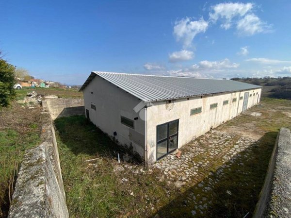 appartamento in vendita a Baranello