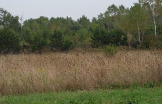 terreno agricolo in vendita a Bojano