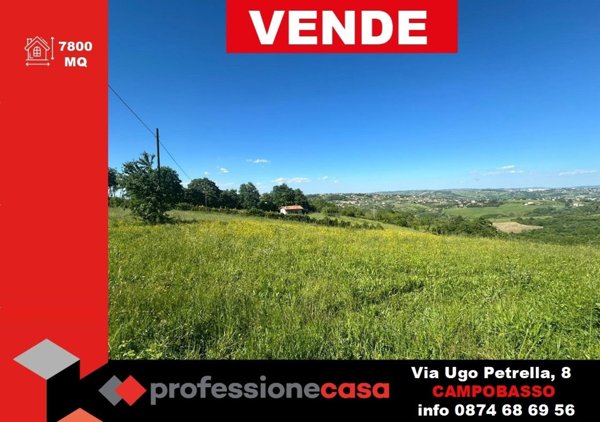 terreno agricolo in vendita a Busso