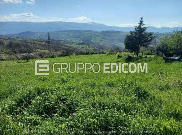 terreno agricolo in vendita a Busso