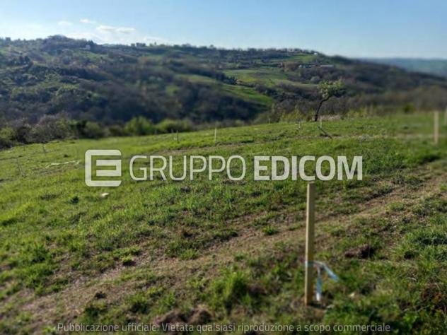 terreno agricolo in vendita a Busso