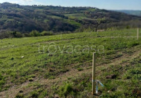 terreno agricolo in vendita a Busso
