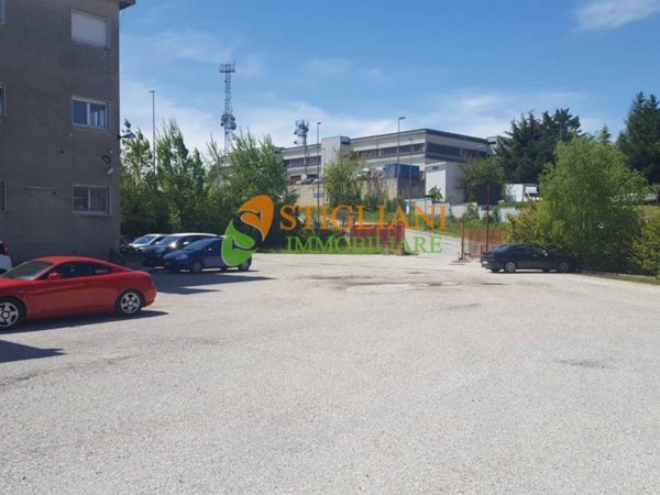 negozio in vendita a Campobasso