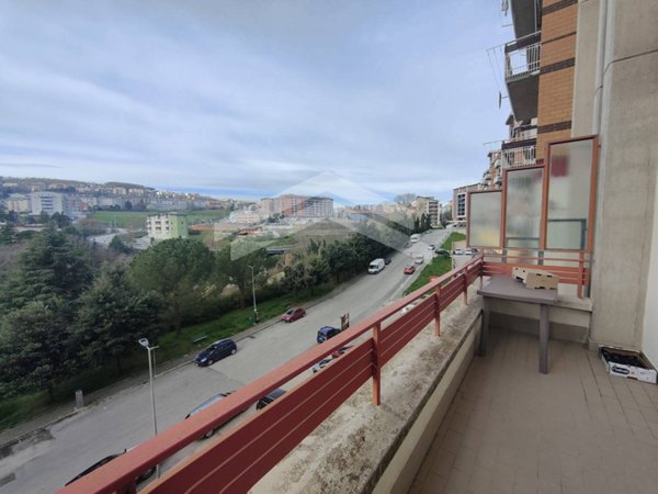 appartamento in vendita a Campobasso
