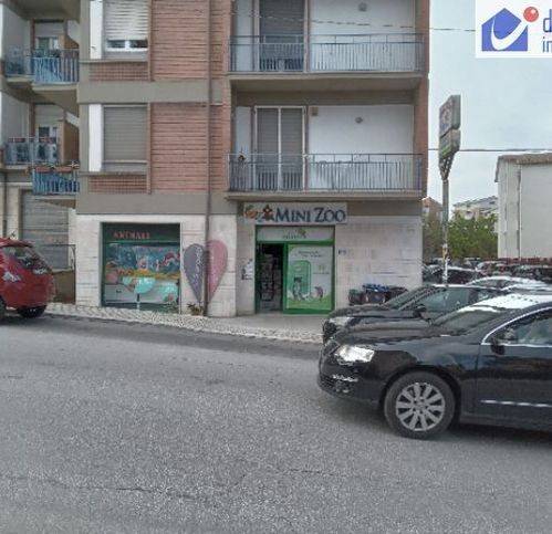 locale commerciale in vendita a Campobasso