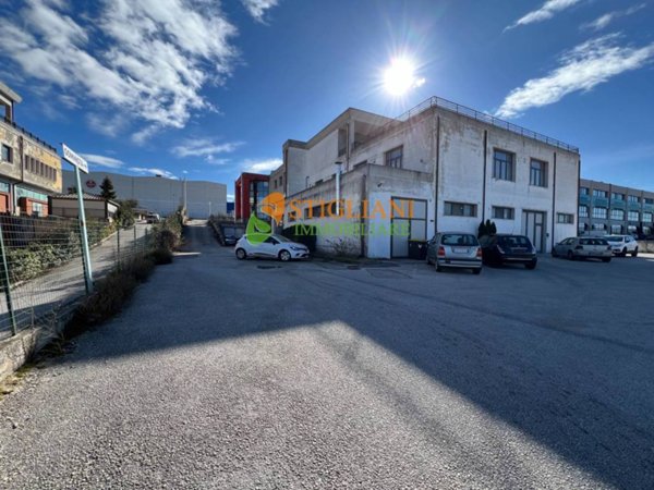 quadrivano in vendita a Campobasso