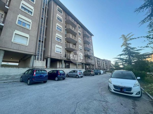 appartamento in vendita a Campobasso