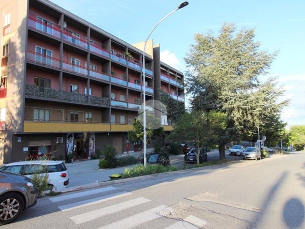 appartamento in vendita a Campobasso