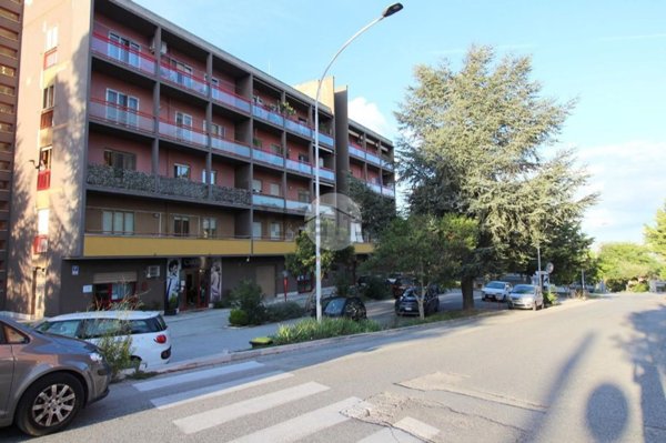 appartamento in vendita a Campobasso