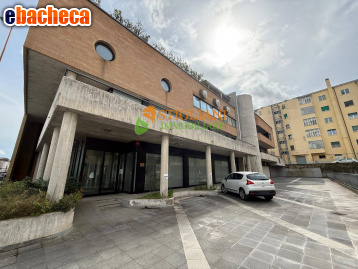appartamento in vendita a Campobasso