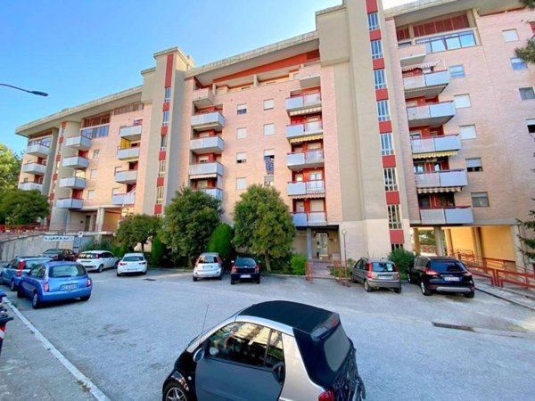 appartamento in vendita a Campobasso