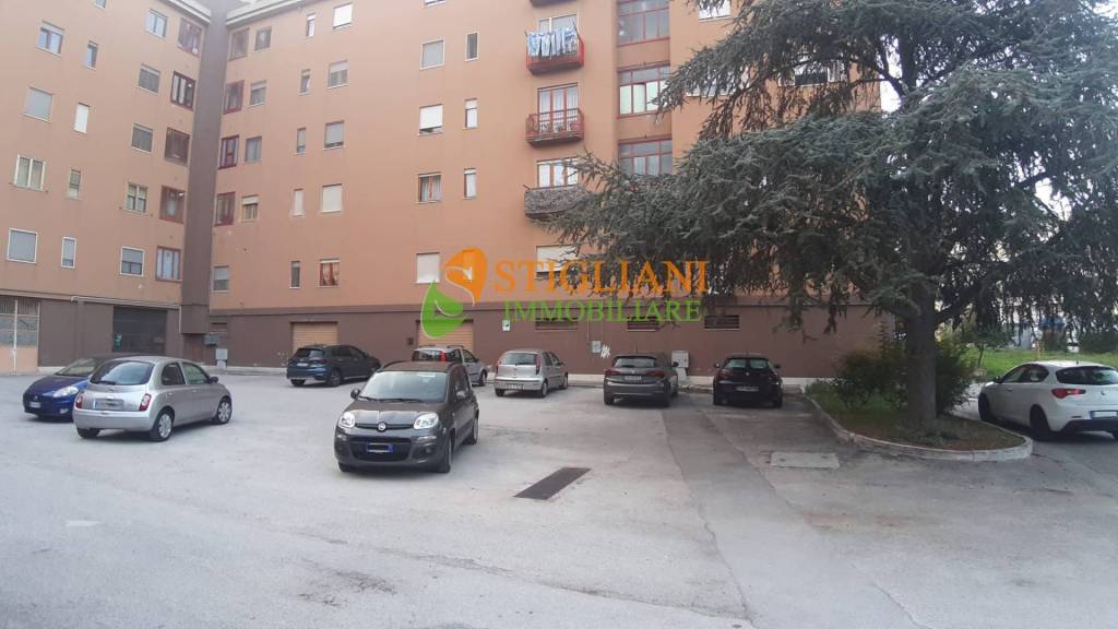 negozio in vendita a Campobasso