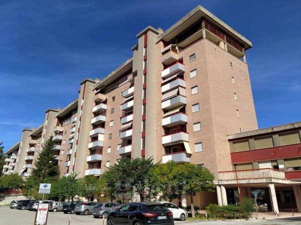appartamento in vendita a Campobasso