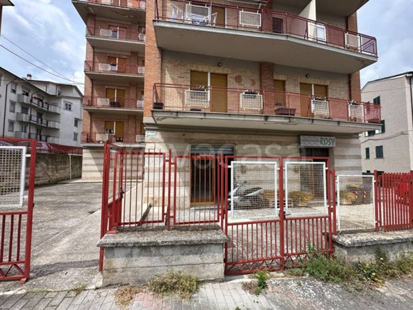 negozio in vendita a Campobasso