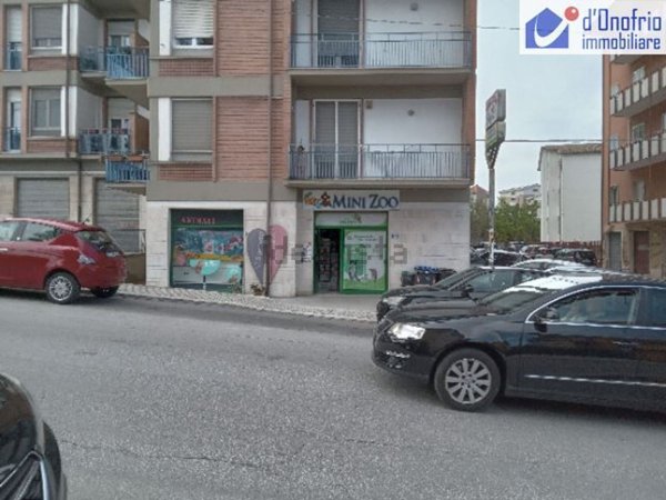 locale commerciale in vendita a Campobasso