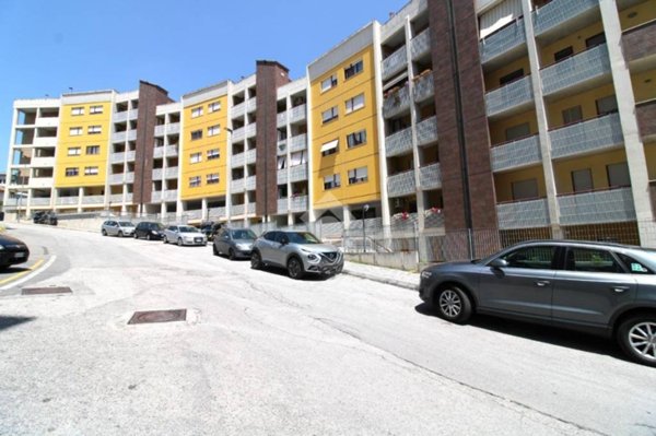 appartamento in vendita a Campobasso