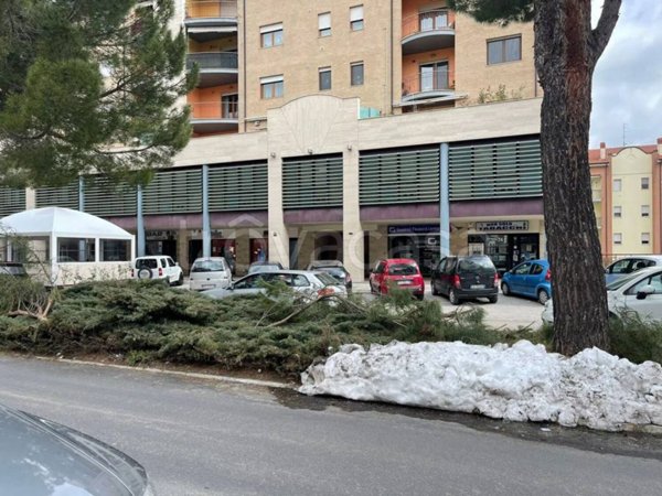 appartamento in vendita a Campobasso