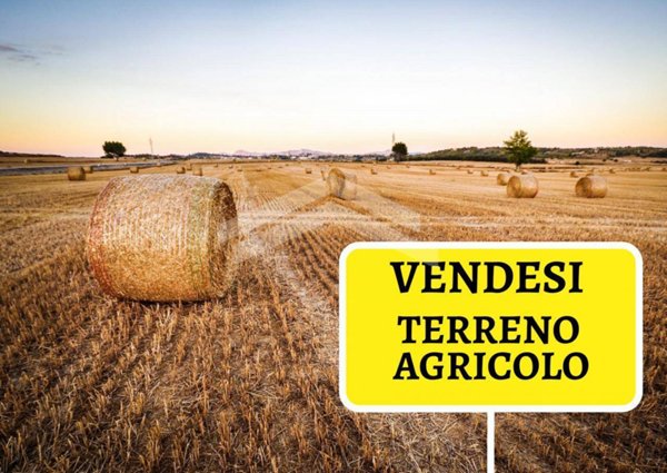terreno agricolo in vendita a Campobasso in zona Colle Longo