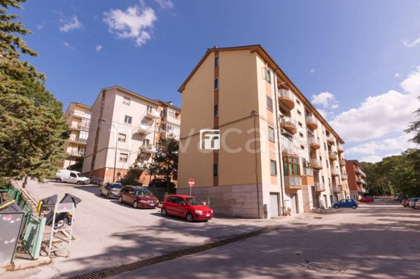 appartamento in vendita a Campobasso