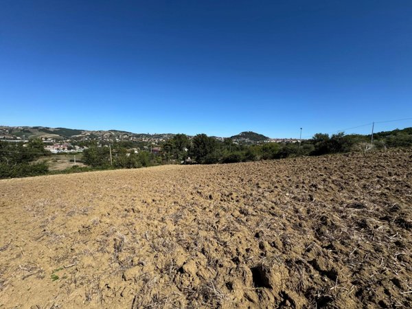 terreno agricolo in vendita a Campobasso in zona Colle Longo