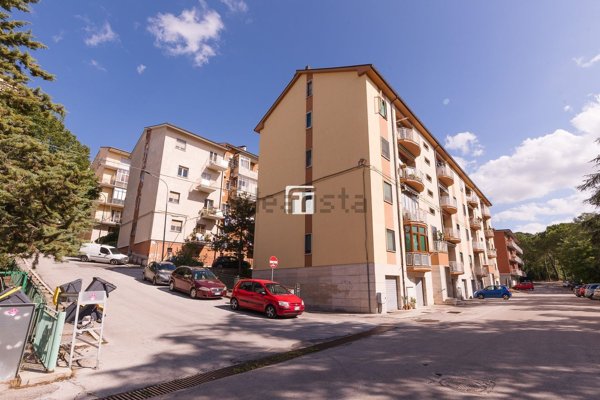 appartamento in vendita a Campobasso