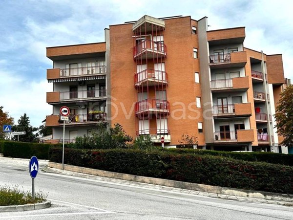 appartamento in vendita a Campobasso