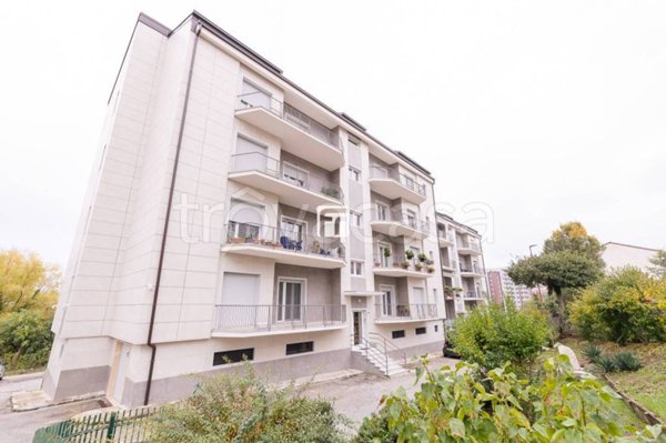 appartamento in vendita a Campobasso