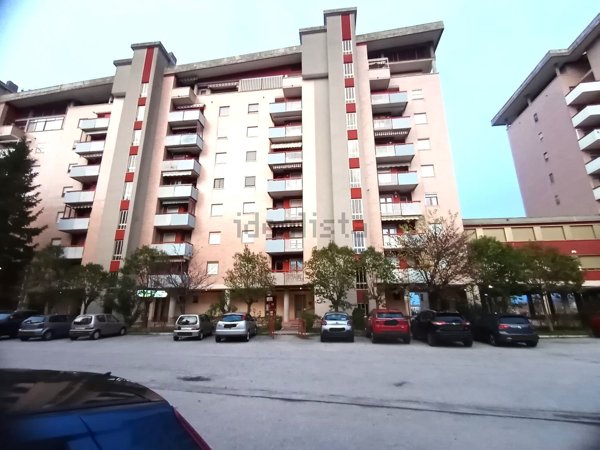 trivano in vendita a Campobasso