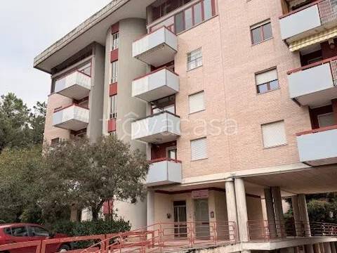 appartamento in vendita a Campobasso in zona San Giovanni dei Gelsi
