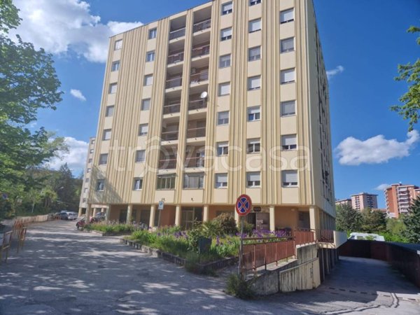 appartamento in vendita a Campobasso