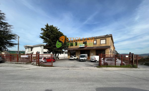 locale commerciale in vendita a Campobasso