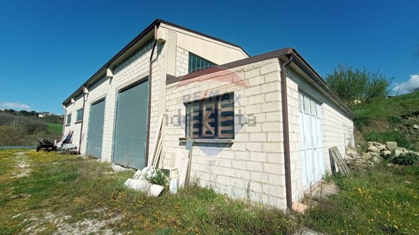 capannone in vendita a Campobasso