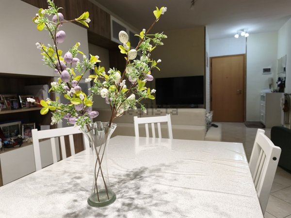appartamento in vendita a Campobasso