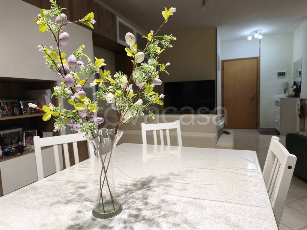 appartamento in vendita a Campobasso