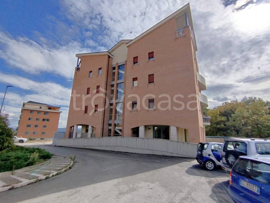 appartamento in vendita a Campobasso