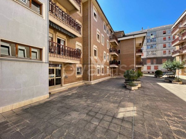 appartamento in vendita a Campobasso