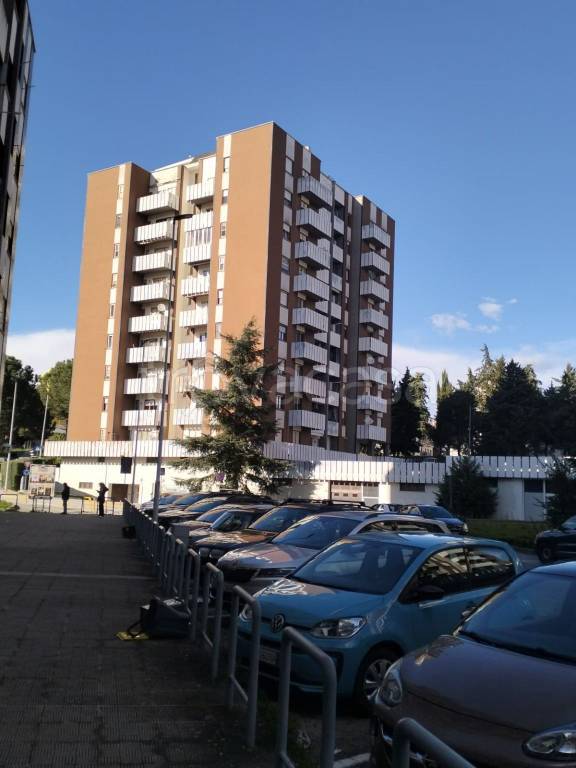 appartamento in vendita a Campobasso